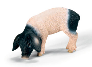 Schleich - Swabian Hall Piglet Eating - 13635