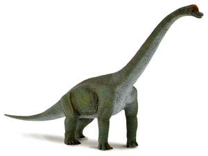 CollectA 88121 Brachiosaurus (2009) Replica