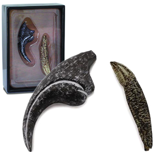 CollectA Replica Allosaurus Tooth and Finger Claw -89288