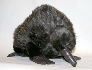 EDNA the ECHIDNA 30cm