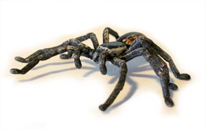 Huntsman Spider Replica 10cm