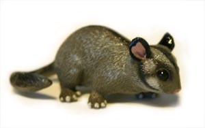 Leadbeter's Possum Replica 7.5cm