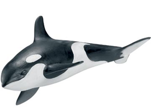 Schleich Killer Whale Calf - 16091