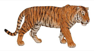 Papo - Tiger Adult