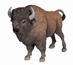 PAPO American Buffalo - P50119
