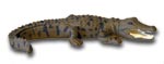 Saltwater Crocodile Replica Large 15cm, Small 7cm