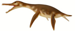 CollectA 88520 - Dolichorhynchops Replica