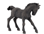 PAPO Frisian Foal - P51502