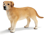 Schliech Labrador Male Dog - 16386