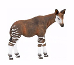 PAPO P50077 Okapi