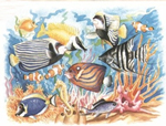 Reeves Senior Watercolour By Numbers - Coral Reef