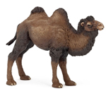 PAPO Bactrian Camel - P50129