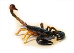 Scorpion Replica 9cm