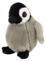 Emperor Penguin Chick with Song