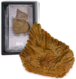 CollectA Replica Stegosaurus Dorsal Plate - 89286