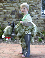 Kids Safari Wrap'n'Ride Triceratops