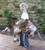 Kids Safari Wrap'n'Ride Stegosaurus