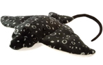 Spotted Ray - 30cm